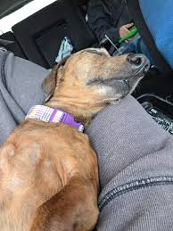 Lesley Cooks and Bakes added a...