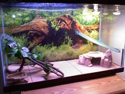 View Topic This Is Our Setup How Does It Look Bearded Dragon Tank Bearded Dragon Bearded Dragon Cage