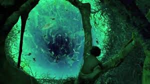 Okyanus ortasında bir kaplanla birlikte yaşam mücadelesi veren küçük pi'nin yaşadıkları ekrana. Life Of Pi Insanin Temelleri Analiz Sinema Yazilari Fil M Hafizasi