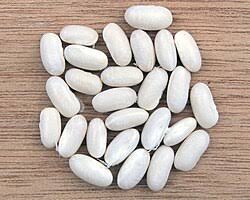 Image result for Phaseolus vulgaris