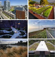 In order to consider green roofs as an environmentally friendly technology, the selection of efficient and sustainable components is extremely important. State Of The Art Analysis Of The Environmental Benefits Of Green Roofs Sciencedirect