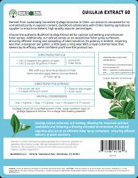 Image result for Quillaja saponaria