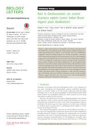 Image result for Sebaea brachyphylla