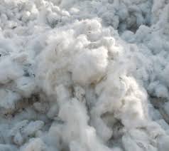 Why does it take so much water to make a cloth?