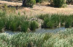 Maybe you would like to learn more about one of these? Benicia State Recreation Area Wikipedia