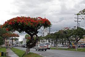 Georgetown Guyana Invest In Guyana Ecopush Are A Gibraltar Based Company Specialising In Providing Information About Guyana British Guiana Beautiful Places