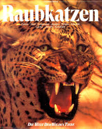 Ein wilder puma gönnt sich auf dem lago argentino eine erfrischung und entspannt sich auf einem eisberg. Raubkatzen Lowen Tiger Leoparde Jaguare Pumas Geparde Luchse Servale Karakale Maitland A Edey Lesley Bayes Roger Caras Thomas A Dozier John Gooders Paul Trachtman Amazon De Bucher