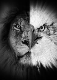 Half Lion Half Eagle B W Metal Poster Print Mk Studio Displate In 2021 Mens Lion Tattoo Animal Tattoos For Men Lion Tattoo