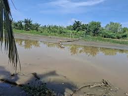 PDAM Danum Benuanta Optimalkan Sungai Selor untuk Jamin Pasokan Air Bersih