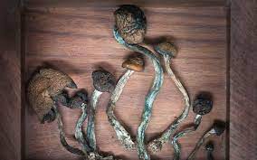 Magic mushrooms can be consumed in a variety of ways. How To Prepare For Your First Psychedelic Mushroom Trip Leafly