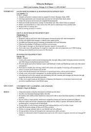 business development rep resume samples
