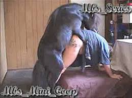 Maybe you would like to learn more about one of these? Videos Porno Zoophilie