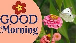 Flowers are one of the most beautiful creations of nature. Good Morning With Beautiful Flowers 2017 Youtube