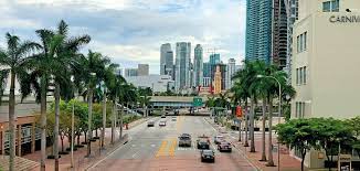 In miami, there are 8278 hotels and other accommodations to choose from. Re Scycling Meet Greet L Miami Party Bike Tours