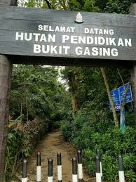 The track is easy to moderate. Bukit Gasing Forest Reserve Attractions Kuala Lumpur Travel Review Travel Guide Trip Com