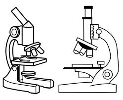 Top Microscope Drawing Part Microscopic Best Microscope Drawings