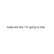 Roses Are Red Violets Are Blue No One Can Stop Me Cause I M Going To The Bed Bio Quotes Instagram Quotes Caption Quotes