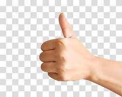 Person Thumbs Up Thumb Hand Finger Arm Digit Thumbs Up Transparent Background Png Clipart In 2020 Clip Art Hand Sticker Hand Emoji