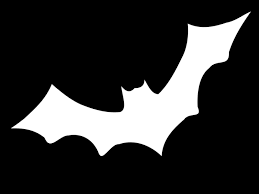 Bat Cartoon 700 525 Transprent Png Free Download White Black Black And White Cleanpng Kisspng White and brown conifer cones png. bat cartoon 700 525 transprent png free