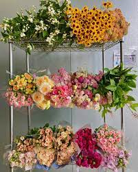 Maybe you would like to learn more about one of these? Ramirez Wholesale Flowers Inc This Weeks Arrivals Are Romantic Garden Vibes Flowerlove Wholesaleflowers Flowers Florist Peony Floraldesign Weddingflowers Wholesaleroses Gardenroses Daisies Carlsbad Flowersmakemehappy