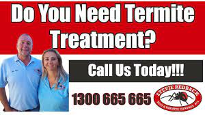 Hire a pest control specialist near me. Pest Control Brisbane Termite Treatment Brisbane Cost Termite Treatment Near Me Youtube