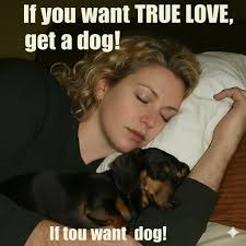 Dasher Dancer Prancer Comet Cupid Donder Rudolph Blitzen Vixen