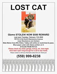 This chew stick is suitable for most cats, but there are a few exceptions due to different intestinal absorption of different cats. Kitten Stolen Out Of A Locked Cage From Fresno Pet Store Yourcentralvalley Com