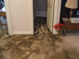 We did not find results for: Why Buy Water Backup Coverage