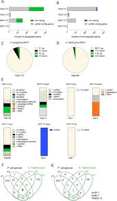 Marcela albores was born in 1900, to hilarion albores and juana saragena. Intergenerational Pathogen Induced Diapause In C Elegans Is Modulated By Mir 243 Biorxiv