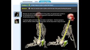 While the name of the pose may seem to reveal an intention based on physical anatomy (head to knee pose), janu sirsasana is. Yoga Anatomy Yoga Therapy Youtube