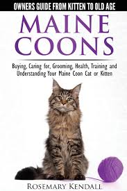 Take a look at the cats we have available there. Maine Coon Cats The Owners Guide From Kitten To Old Age Buying Caring For Grooming Health Training And Understanding Your Maine Coon Amazon Co Uk Kendall Rosemary 9780992784355 Books