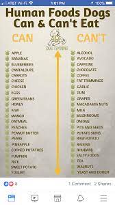 Pin By Amanda Sarisky On Animal Love Foods Dogs Can Eat Dog Food Recipes Human Food For Dogs