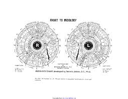 Iridology Chart 2 Pdfsimpli