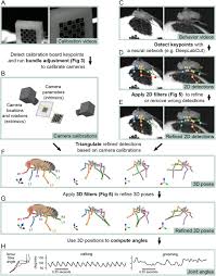 Otherwise the pest card might as well be removed since the dark frame card is better o_o. Anipose A Toolkit For Robust Markerless 3d Pose Estimation Biorxiv