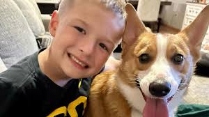 Fundraiser by Stephanie Winegardner : Medical Bills For Maverick