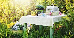 Catherine macdonald chooses her top botanicals to create r. How To Start A Successful Herb Garden And 6 Mistakes To Avoid At All Costs