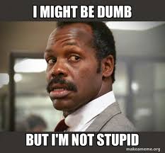 I Might Be Dumb But I M Not Stupid Getting Too Old For This Shit Make A Meme
