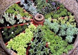 Wagon Wheel Herb Garden Design Ideas The Whoot Medicinal Herbs Garden Outdoor Herb Garden Diy Herb Garden