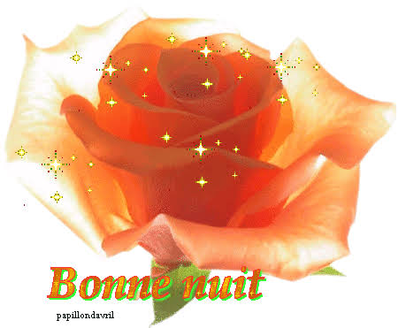 gif bonne nuit