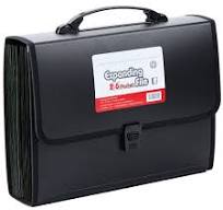 Amazon.com : FANWU 26 Pockets Expanding File Accordion ...