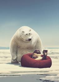 You can download free wallpapers for mobile phones seals. Seal Bear Phone Funny Art Hd Mobile Wallpaper Peakpx