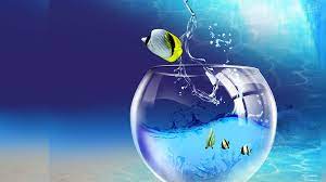 Download and use 30,000+ desktop wallpaper stock photos for free. Free Download 3d Wallpaper For Laptop Pixelstalk Net