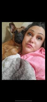 Introduction of deaf pittie dogs Captain and Harley