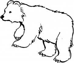 Search through 623,989 free printable colorings at getcolorings. Black Bear Is Hungry Coloring Page Netart