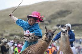 Aug 10, 2021 · the united states established diplomatic relations with ecuador in 1848 following its withdrawal from its federation with colombia. Kids Race Llamas In Ecuador S Highlands The Mainichi