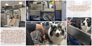 At beautiful beast grooming, we provide a customized mobile dog grooming service that is designed to meet the unique needs of your dog and your personal preferences. Mobile Grooming Services Earthwise Pet Marysville