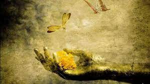 To My Mind: The Tenacity of Hope, Beauty and Poetry to Save the Day