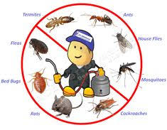 Some of the best pest control hollywood fl businesses provide great pest extermination services at josef cruz in javascript in plain english. 64 Pest Control Ideas Pest Control Pests Control