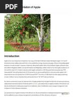 Image result for Eriosema tisserantii