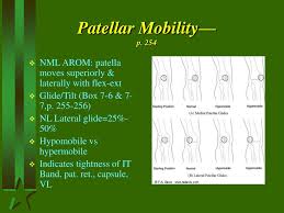 Image result for Patella Mobility Test
